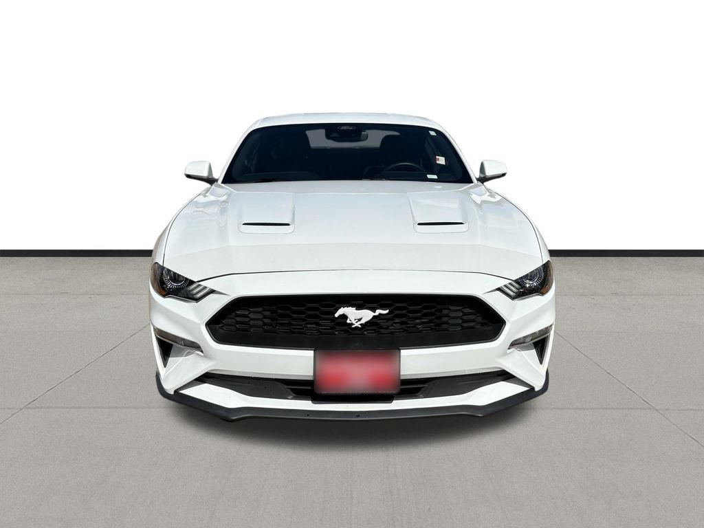 Used 2023 Ford Mustang Premium w/ Equipment Group 201A RWD image 8