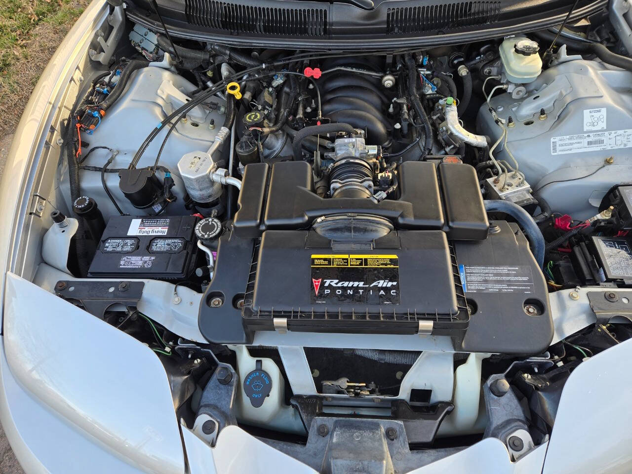 Used 2000 Pontiac Firebird Formula RWD image 16