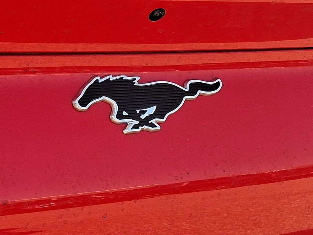 New 2026 Ford Mustang Mach-E Premium AWD/4WD image 12