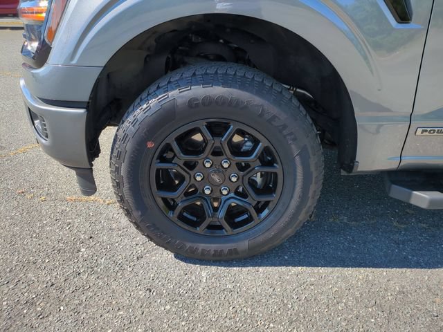 Used 2024 Ford F150 XLT w/ Equipment Group 302A MID AWD/4WD image 10