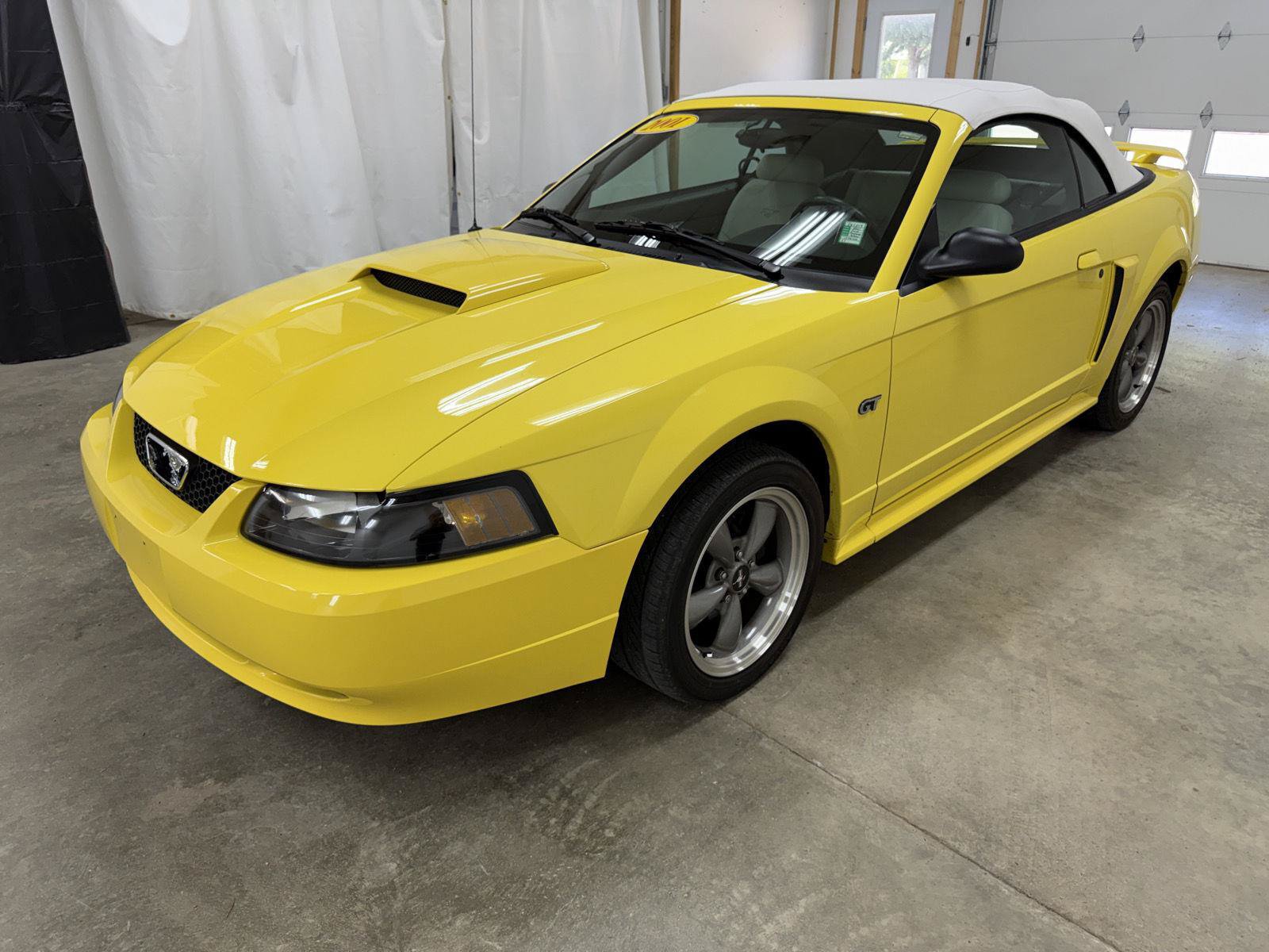 Used 2001 Ford Mustang GT Premium RWD image 4