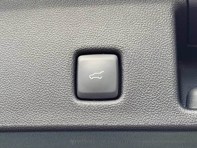 New 2026 Ford Escape ST-Line w/ Tech Pack #1 FWD image 8