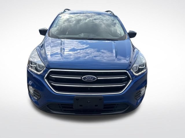 Used 2019 Ford Escape SE AWD/4WD image 11