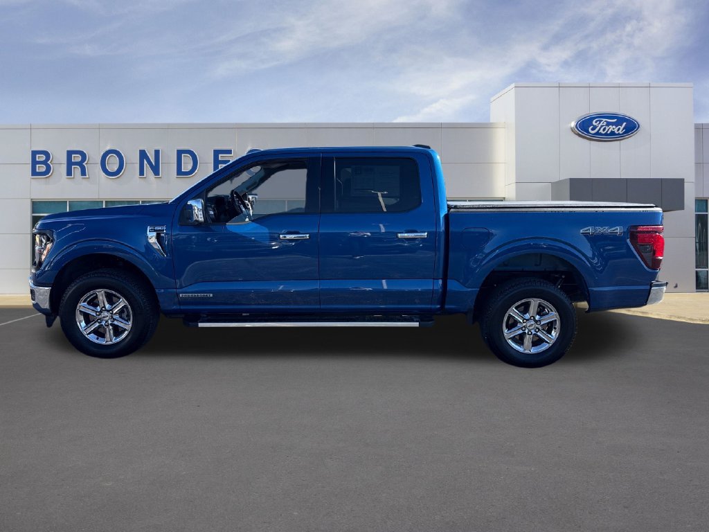 Used 2025 Ford F150 XLT w/ Equipment Group 302A MID