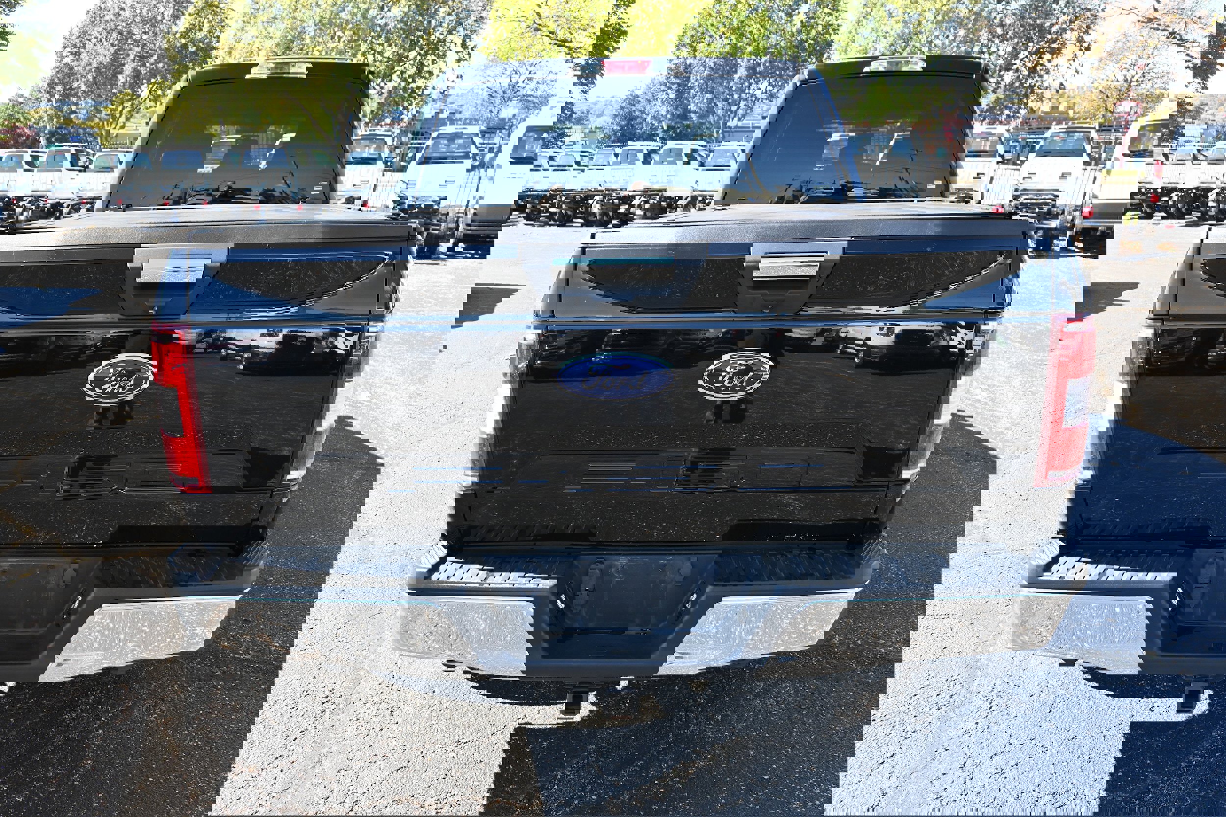 Used 2019 Ford F150 XLT w/ Equipment Group 302A Luxury image 3