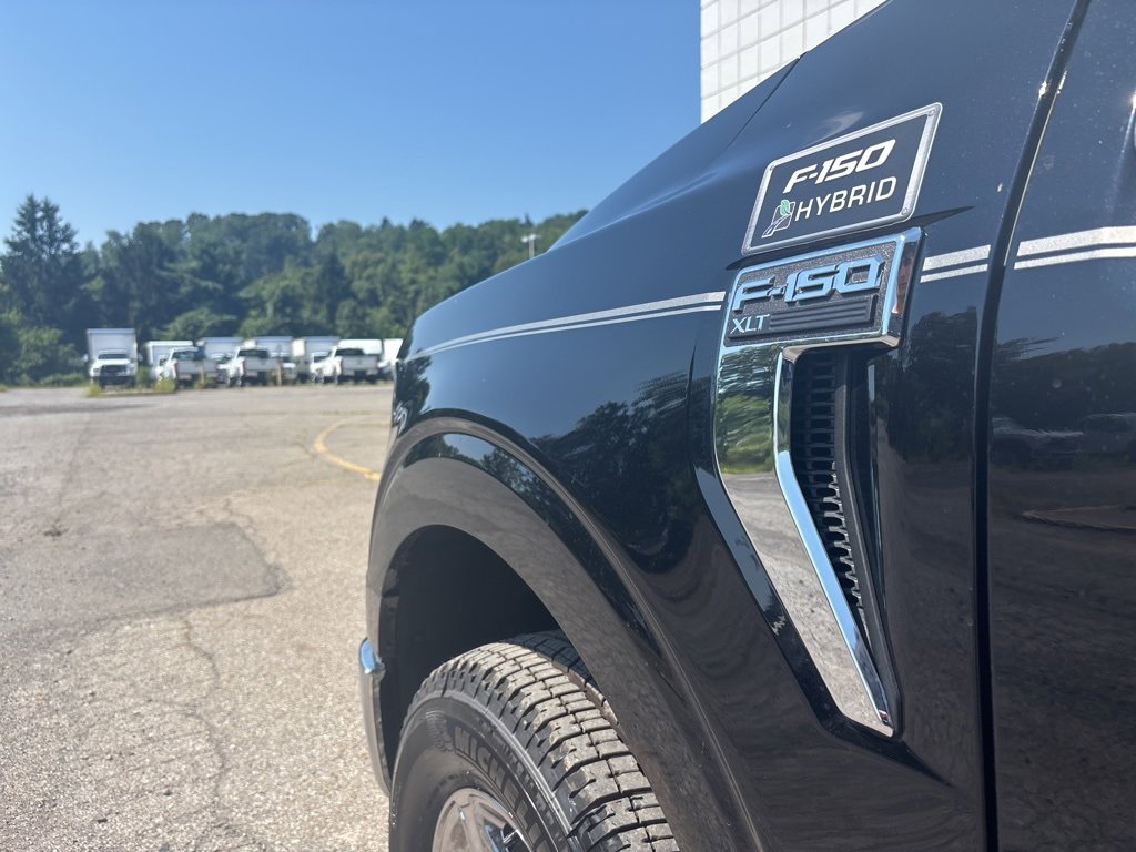 New 2025 Ford F150 XLT w/ Equipment Group 302A MID image 25