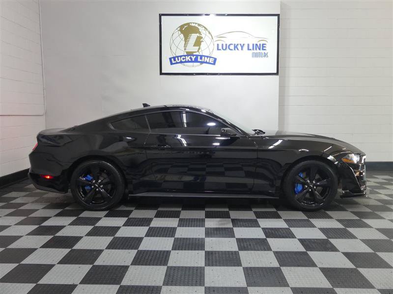 Used 2023 Ford Mustang GT Premium w/ Mustang Nite Pony Package RWD image 6