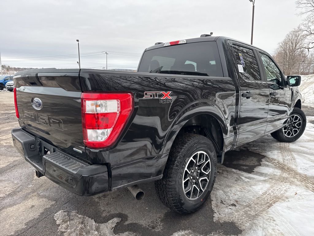 Used 2023 Ford F150 XL w/ XL STX Apperance Package image 3
