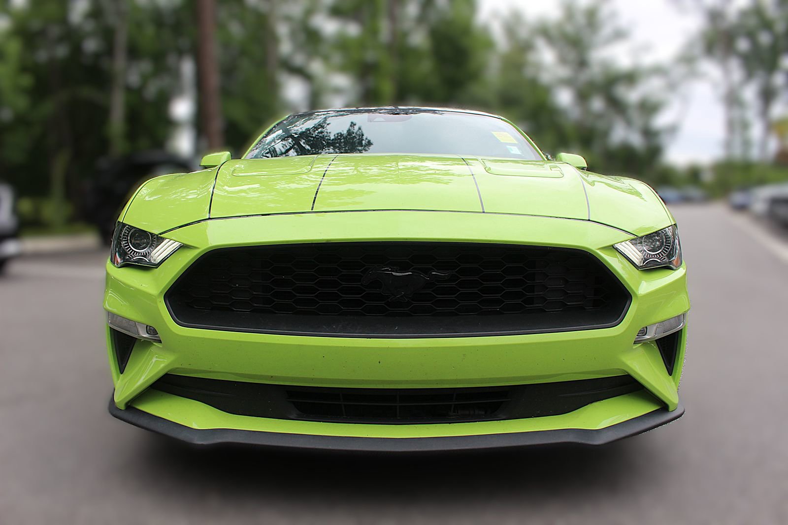 Used 2020 Ford Mustang Premium w/ Equipment Group 201A RWD image 12