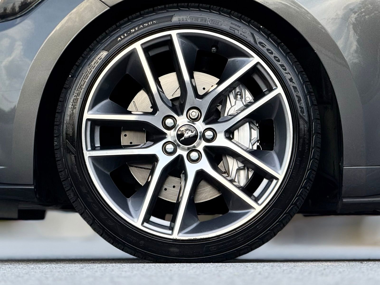 Used 2017 Ford Mustang GT Premium w/ Equipment Group 401A image 17