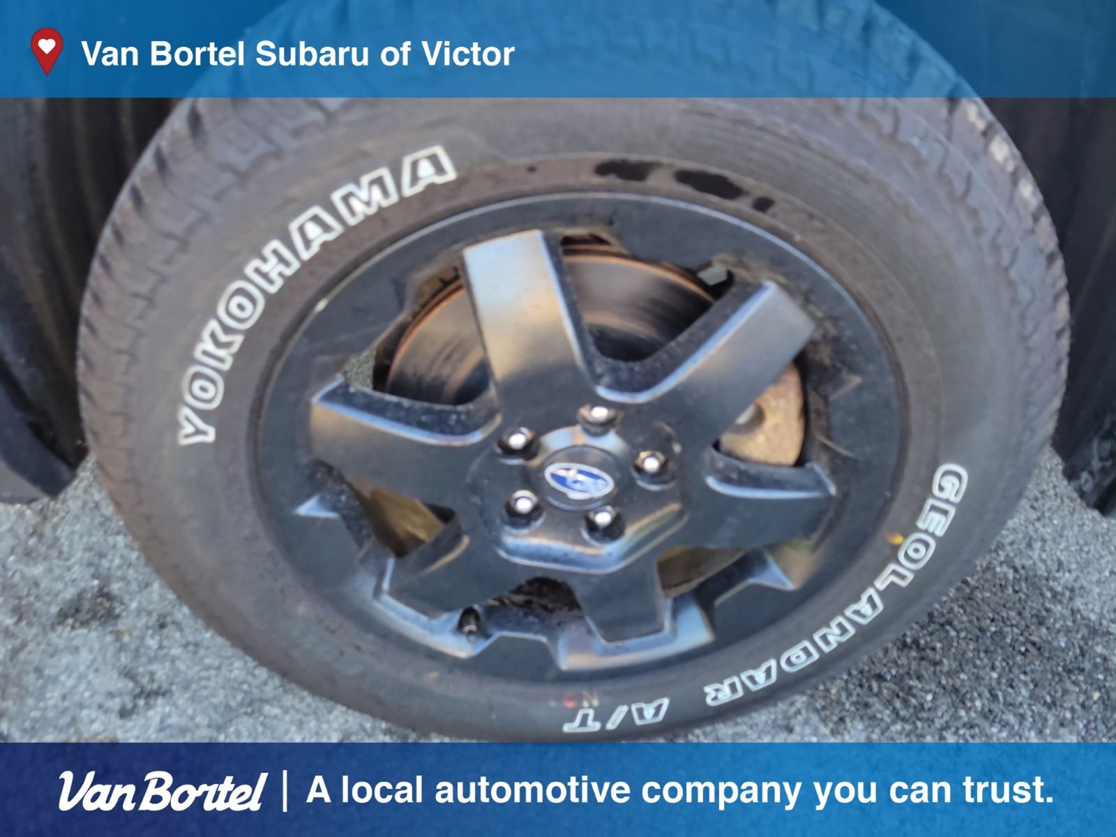 Used 2022 Subaru Outback Wilderness AWD/4WD image 9