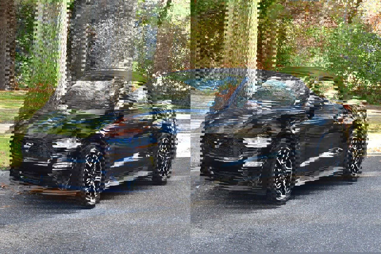 Used 2019 Ford Mustang Premium image 14