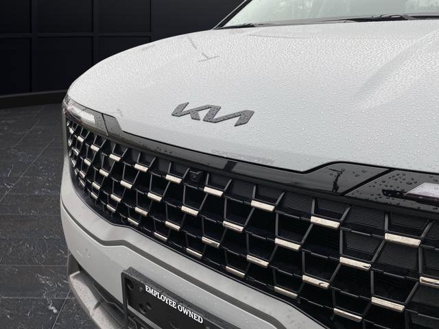 New 2026 Kia Carnival SX image 44