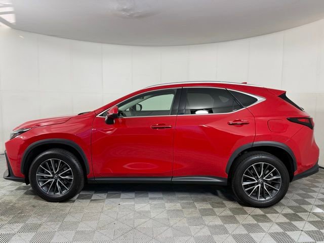 Used 2025 Lexus NX 350 AWD w/ Premium Package image 8