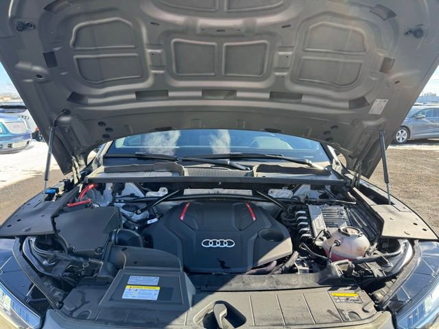 Certified 2023 Audi SQ5 Premium Plus w/ Premium Plus Package image 3