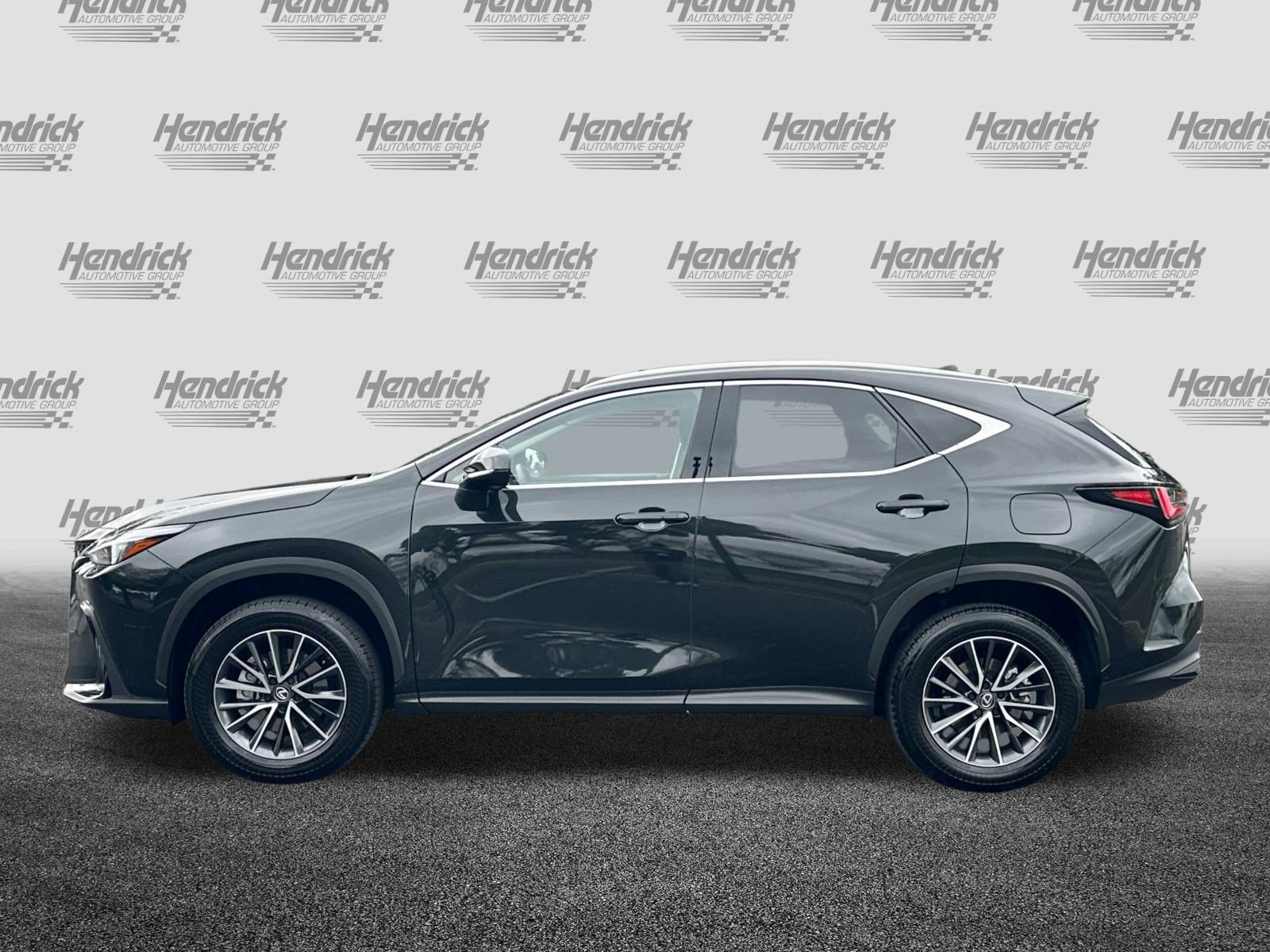 Certified 2025 Lexus NX 350h AWD w/ Cold Area Package image 8