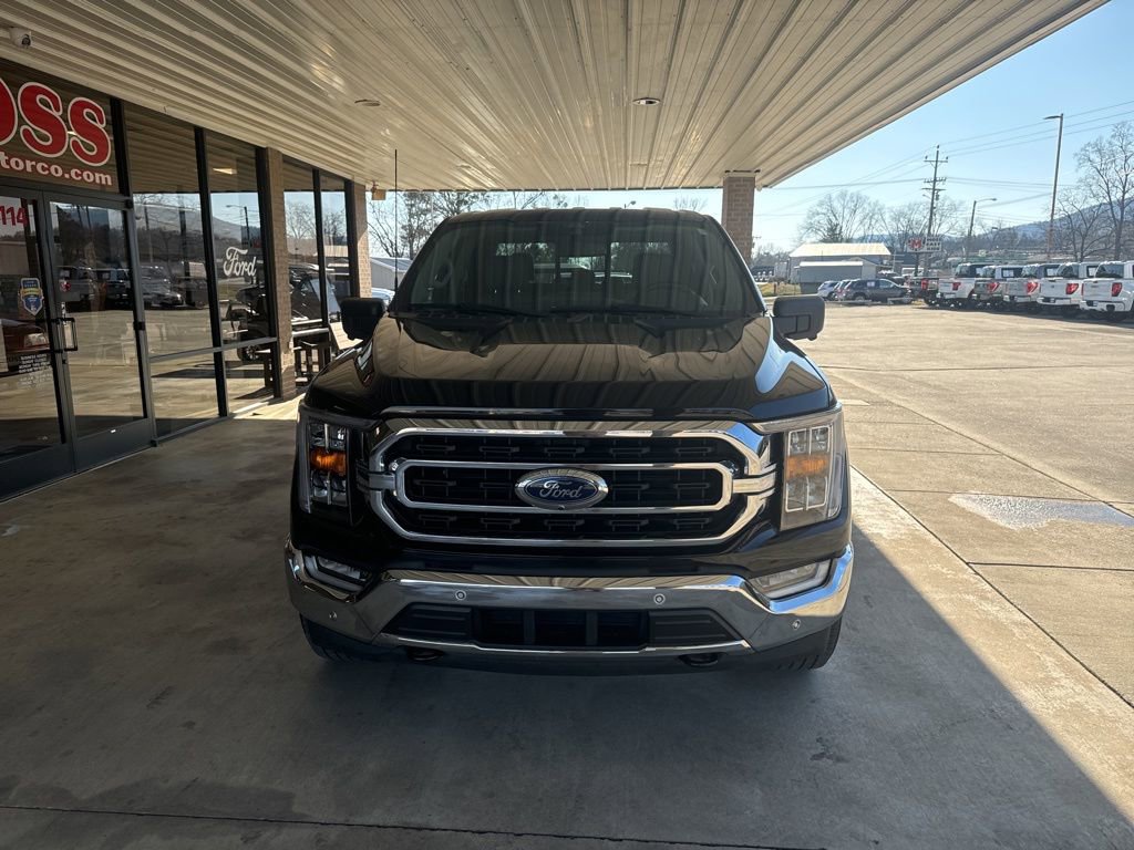 Used 2022 Ford F150 XLT w/ Equipment Group 302A High image 2