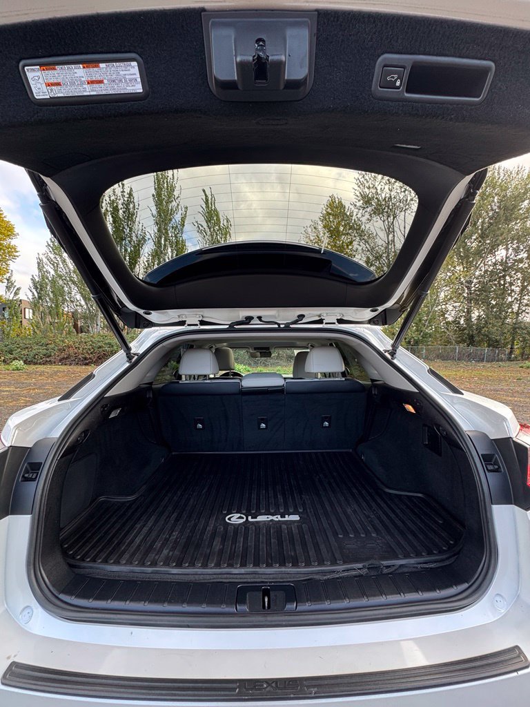 Used 2019 Lexus RX 450h AWD w/ Navigation Package image 9