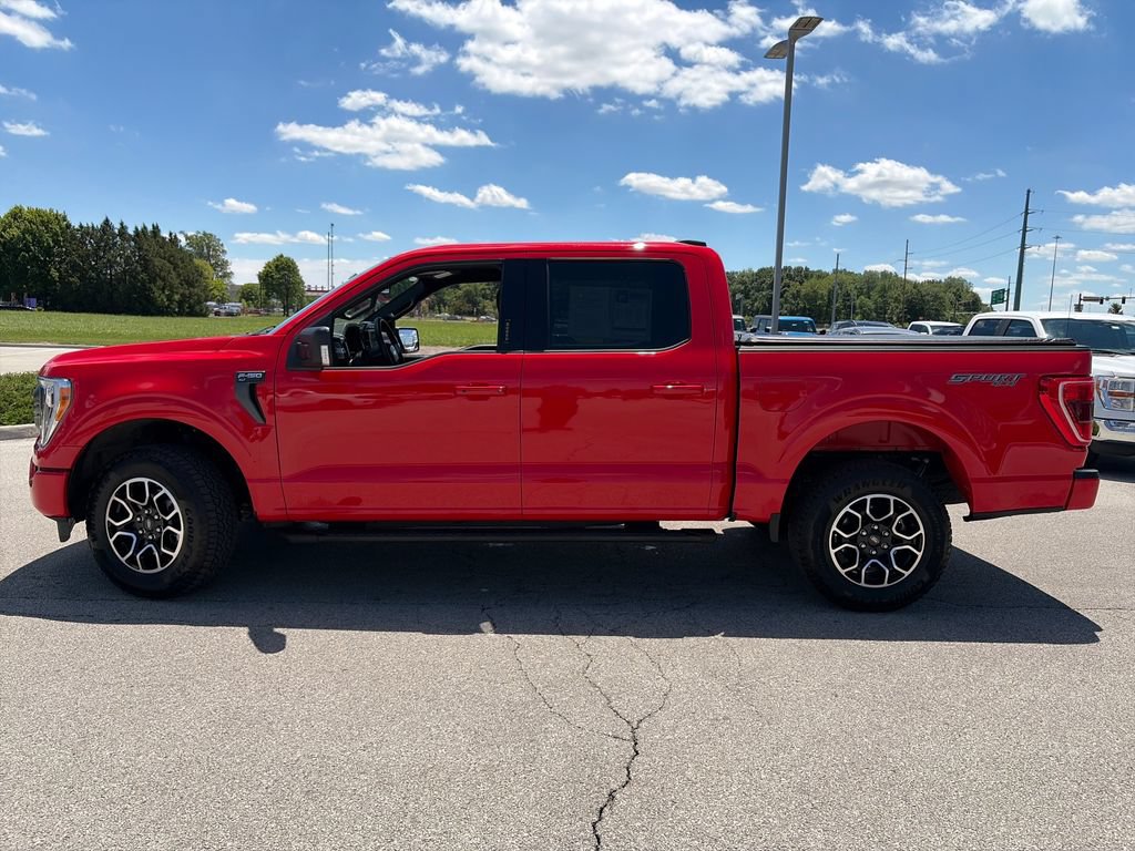 Used 2023 Ford F150 XLT w/ Equipment Group 302A High AWD/4WD image 4