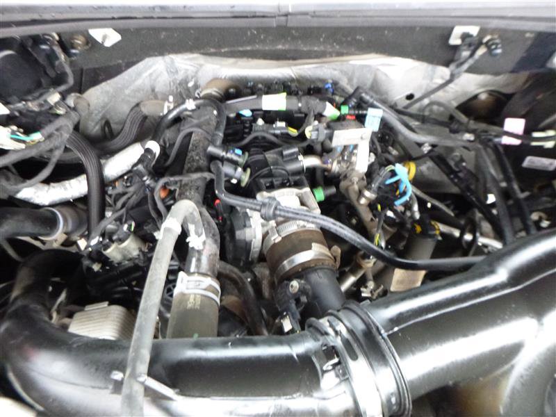 Used 2019 Ford F150 XLT w/ Equipment Group 302A Luxury image 25