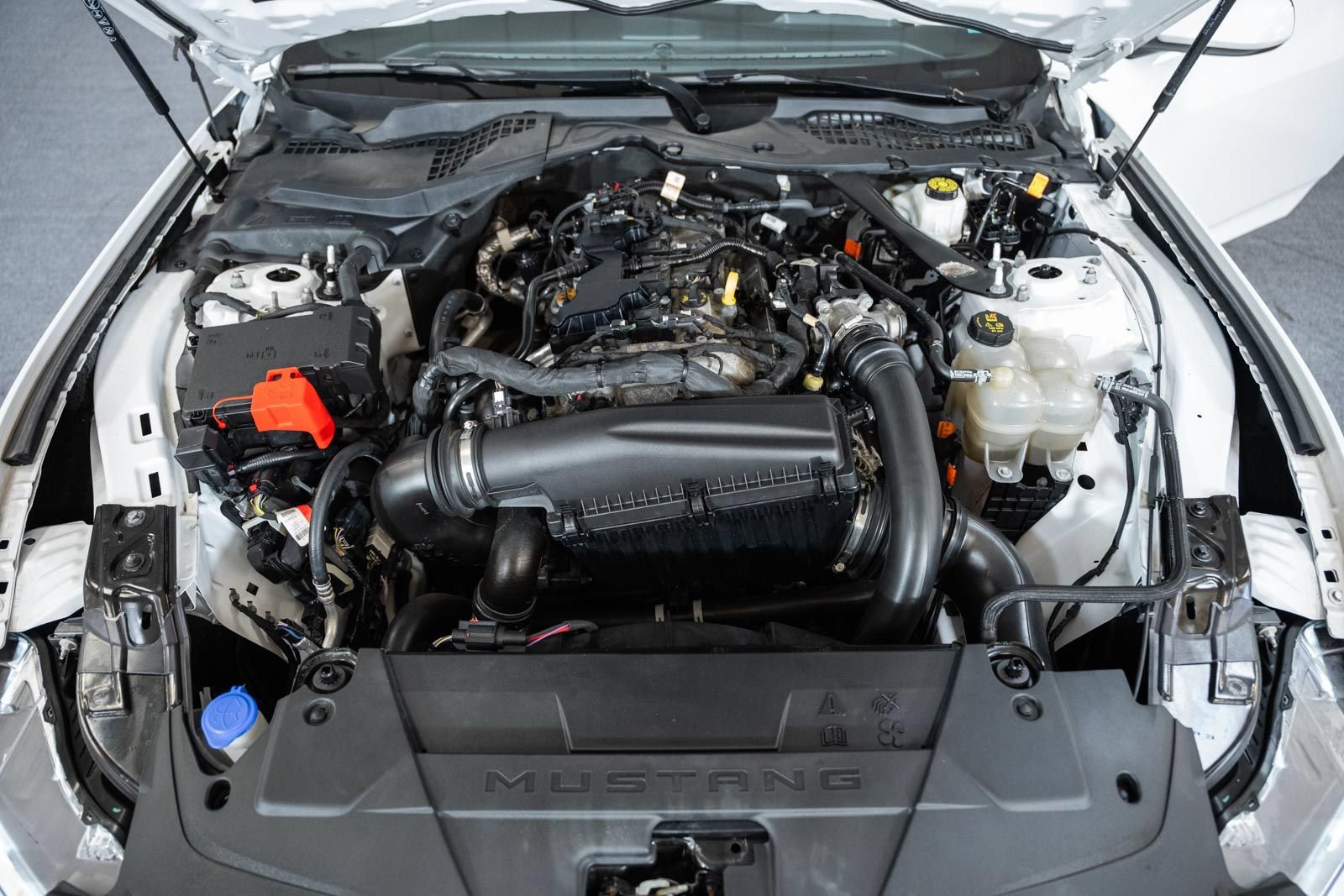 Used 2024 Ford Mustang Premium RWD image 14