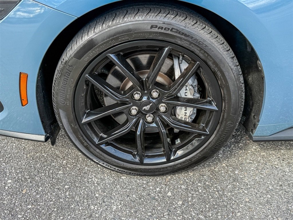 Used 2024 Ford Mustang GT Premium w/ Mustang Nite Pony Package image 18