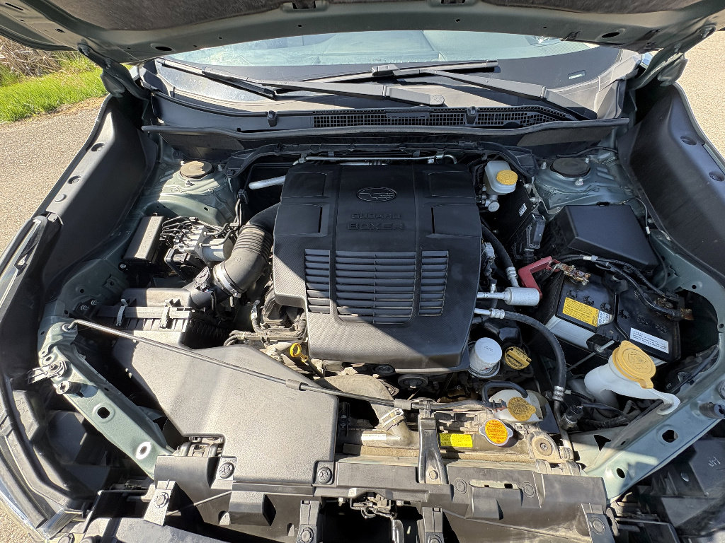 Used 2019 Subaru Forester Limited w/ Popular Package #3 AWD/4WD image 13