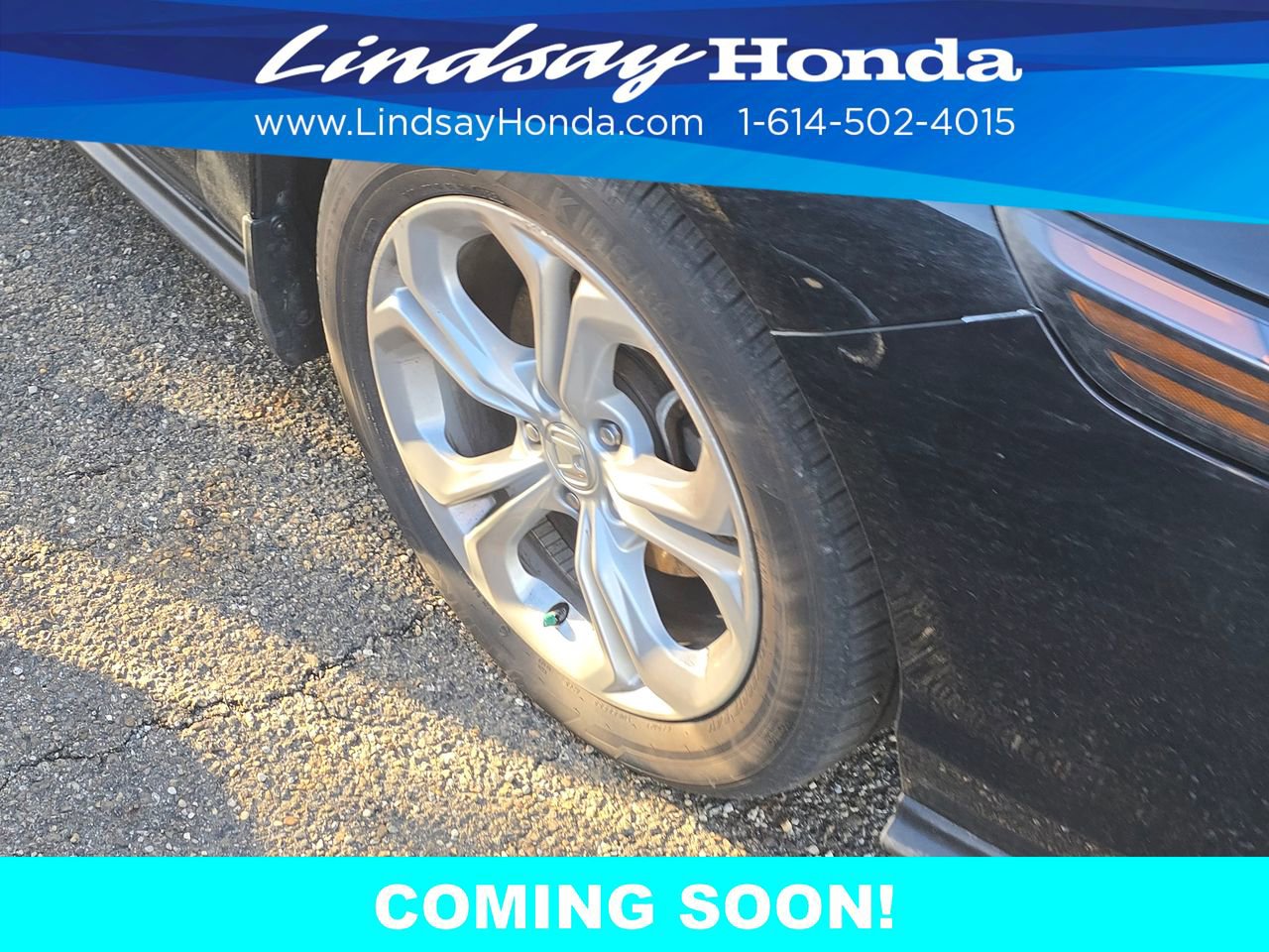 Used 2024 Honda Accord LX image 11