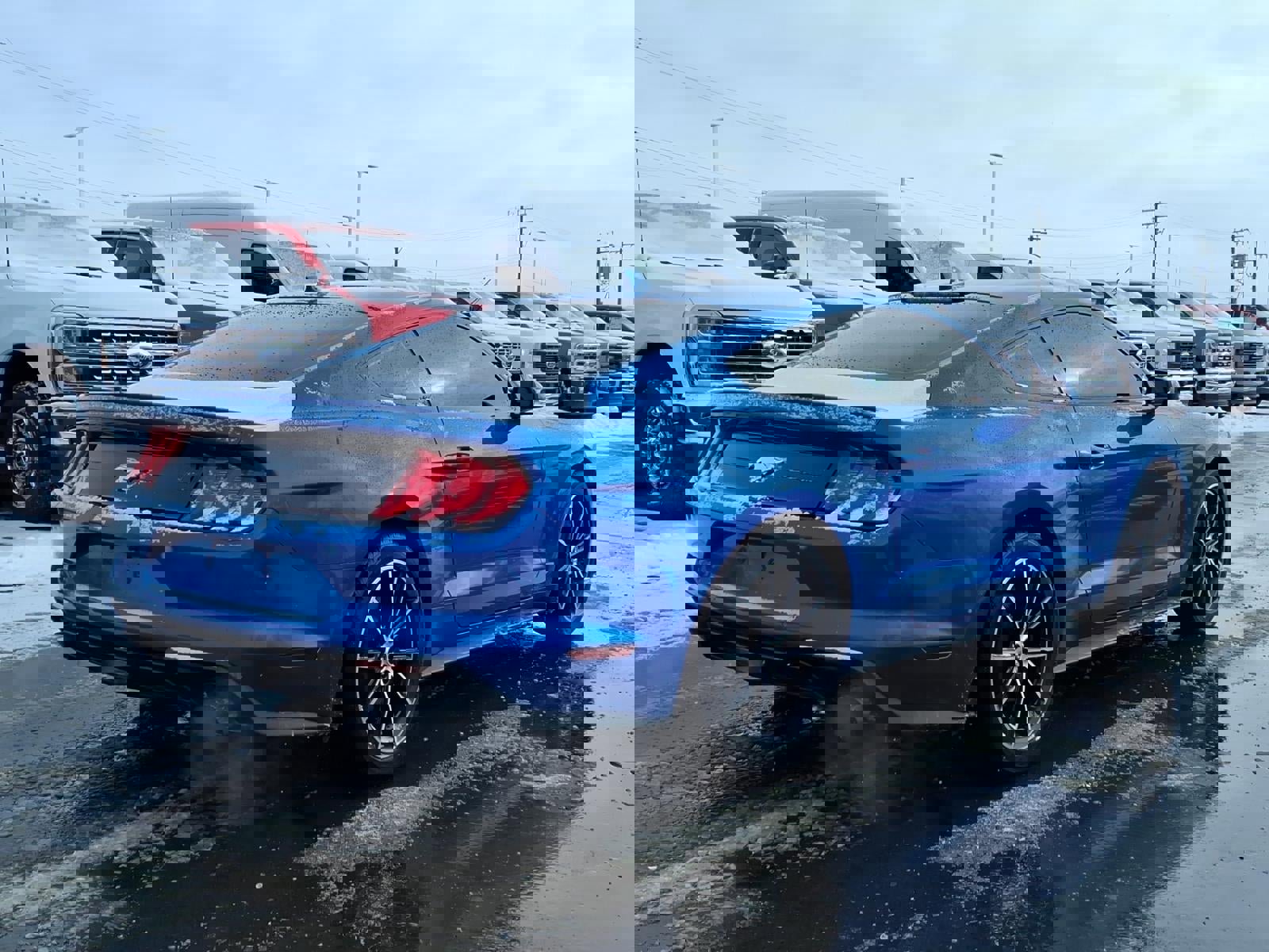 Used 2020 Ford Mustang Coupe w/ Equipment Group 101A image 4