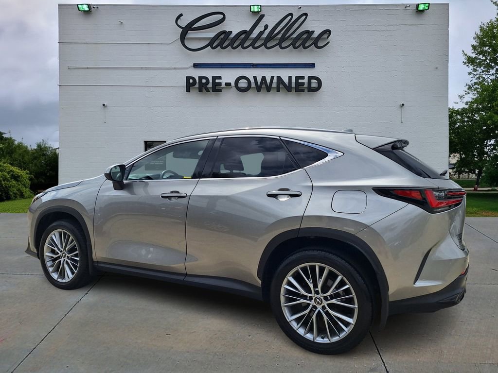 Used 2023 Lexus NX 350 AWD w/ Cold Area Package image 5