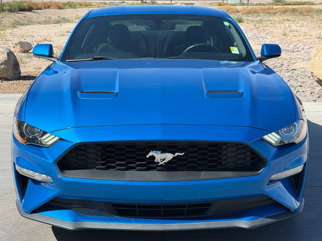 Used 2019 Ford Mustang EcoBoost w/ Equipment Group 101A image 5