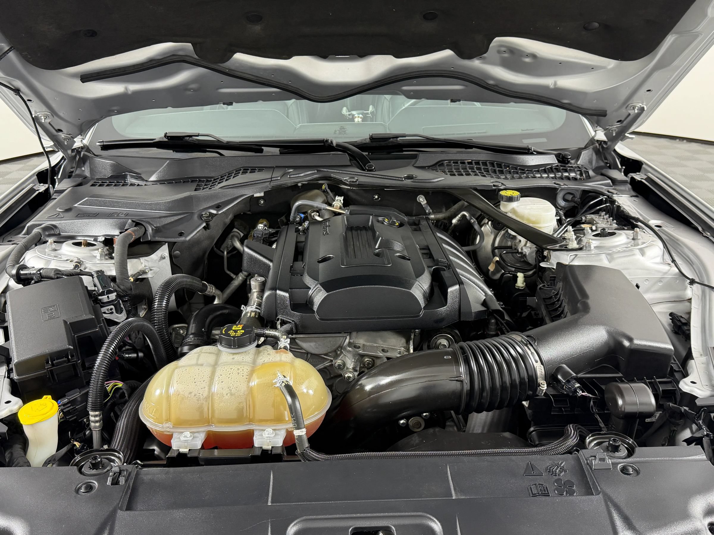 Used 2018 Ford Mustang Premium w/ Equipment Group 201A RWD image 14