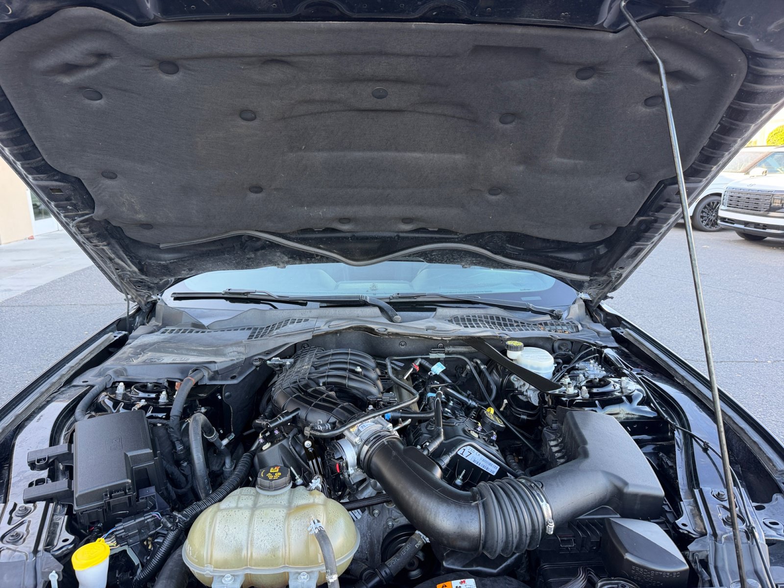 Used 2017 Ford Mustang Convertible RWD image 22