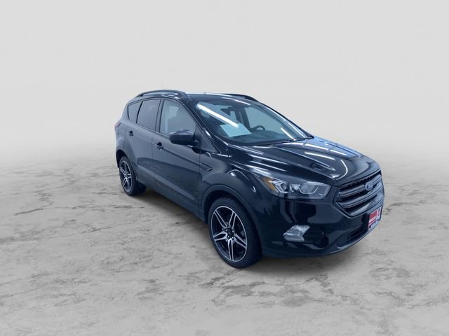 Used 2019 Ford Escape SEL w/ SEL Sport Appearance Package image 3