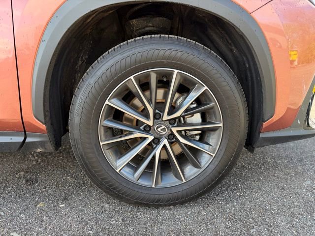 Used 2025 Lexus NX 350 AWD w/ Cold Area Package image 9