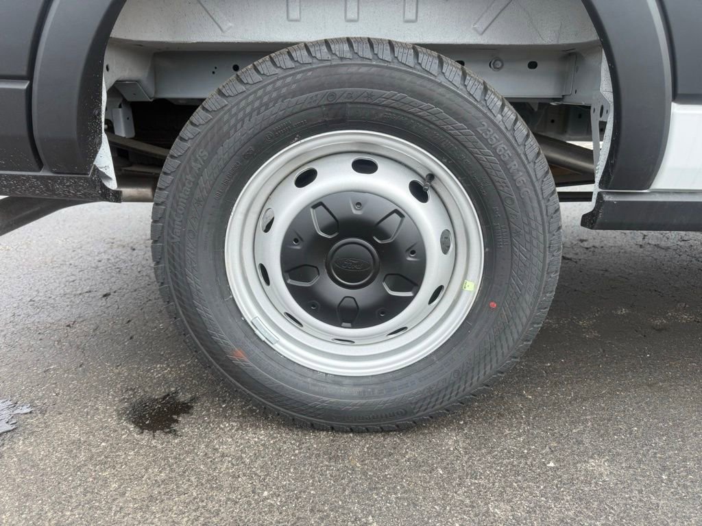 New 2026 Ford Transit 250 Low Roof w/ Load Area Protection Package RWD image 37