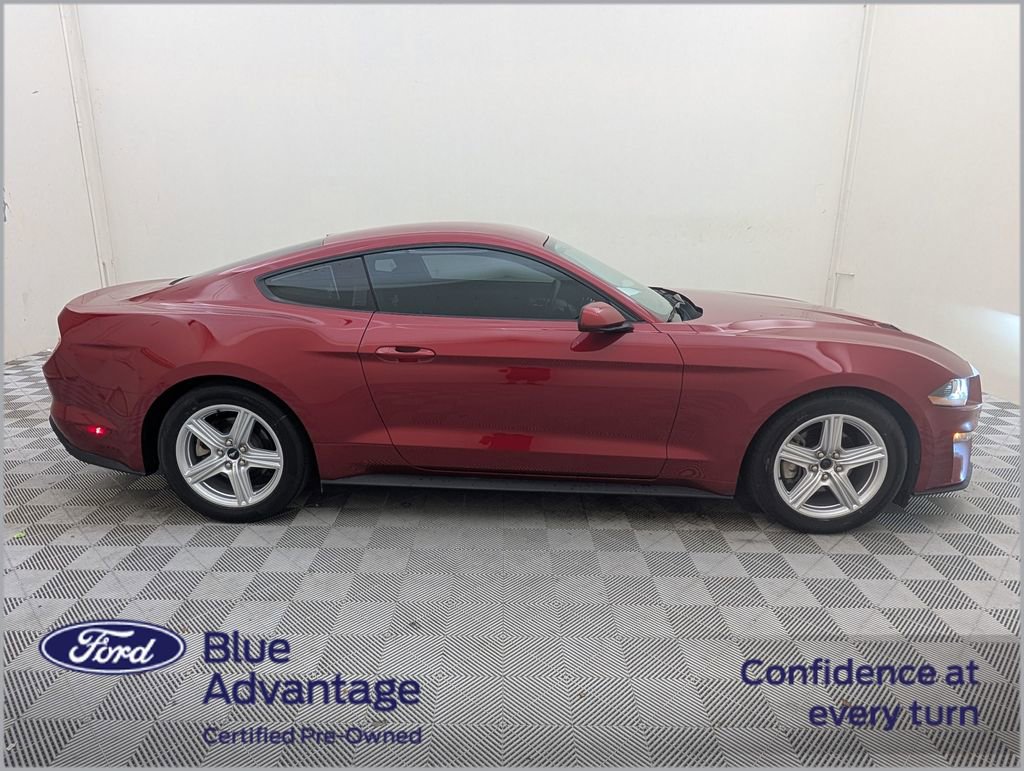 Used 2018 Ford Mustang Coupe RWD image 2