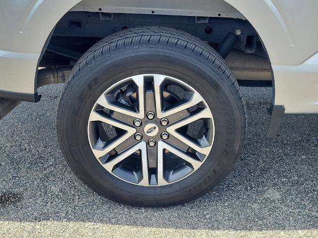 Certified 2023 Ford F150 XL w/ STX Appearance Package AWD/4WD image 6