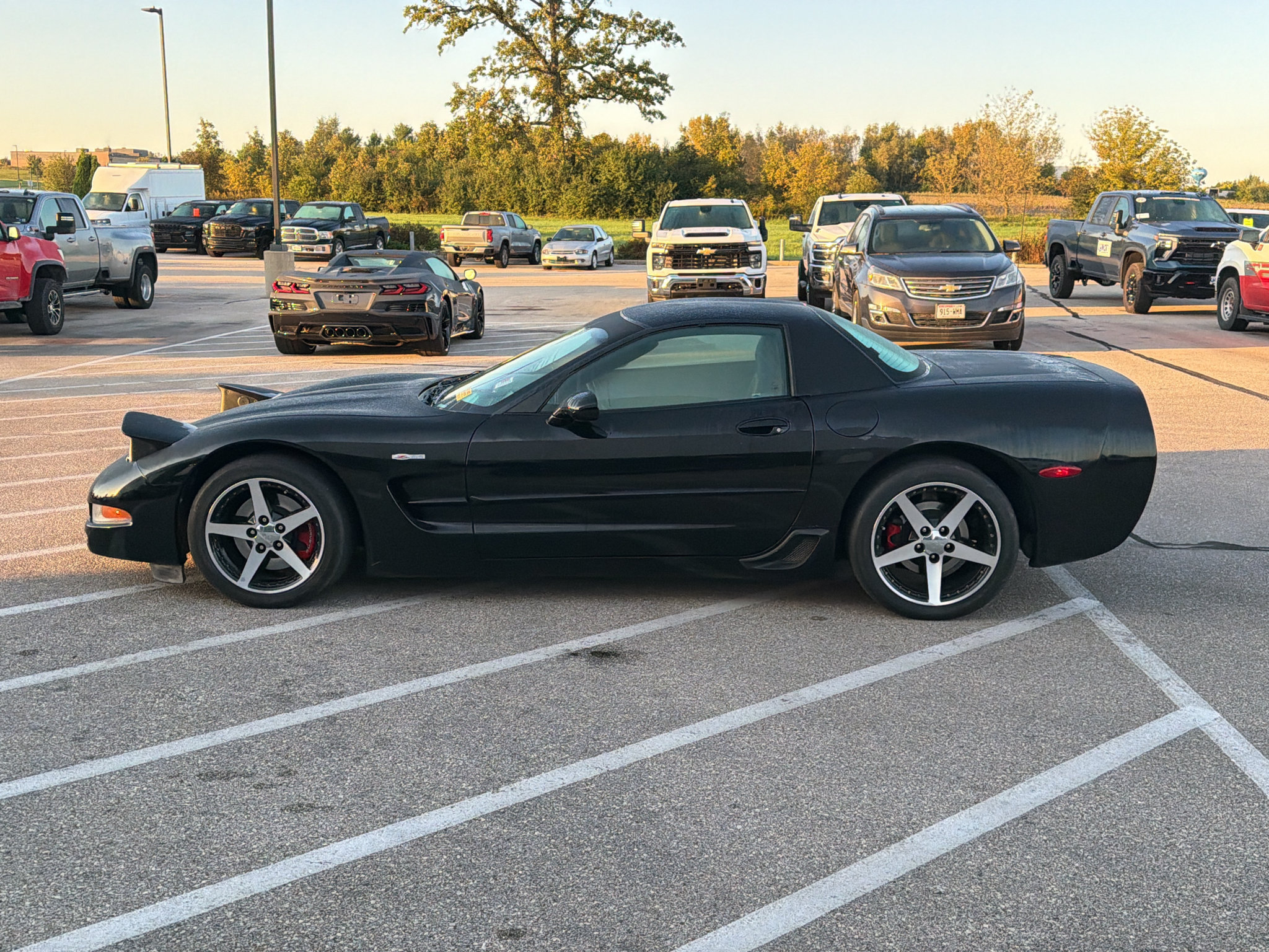Used 2003 Chevrolet Corvette Z06 w/ Memory Package, 3 Drivers RWD image 2