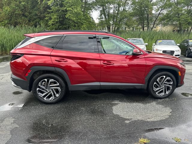 Certified 2025 Hyundai Tucson Limited AWD/4WD image 6