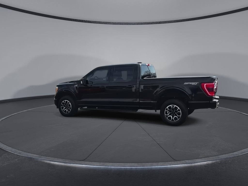 Used 2023 Ford F150 XLT w/ Equipment Group 302A High image 3