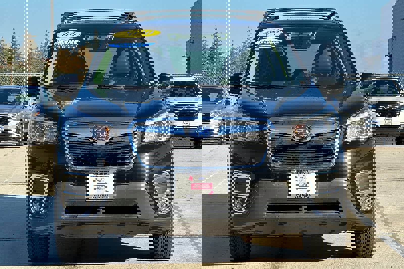 Certified 2020 Subaru Forester Limited image 8