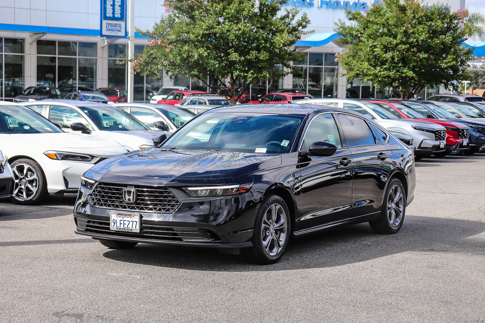 Certified 2024 Honda Accord EX image 3
