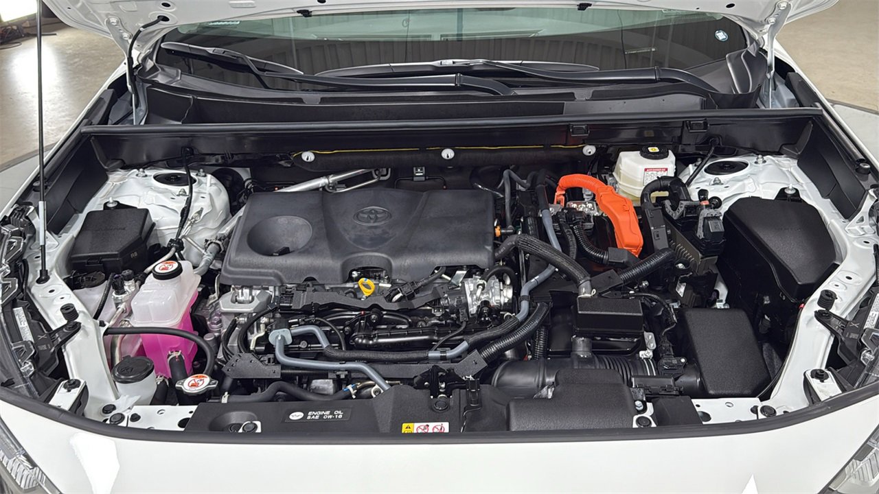 Certified 2025 Toyota RAV4 LE image 25