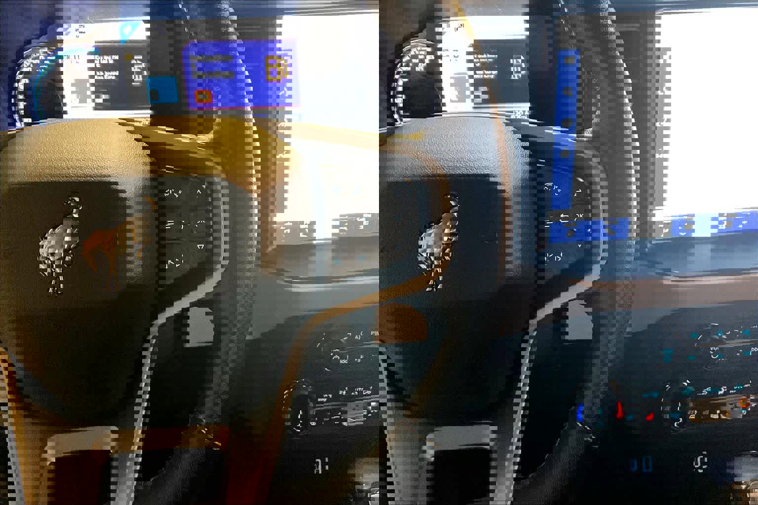 Used 2022 Ford Bronco Wildtrak image 23