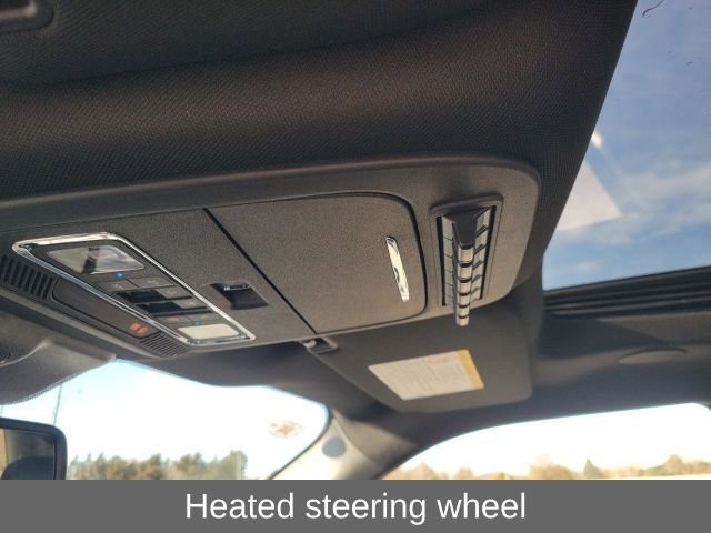 New 2026 Ford F250 Platinum image 10