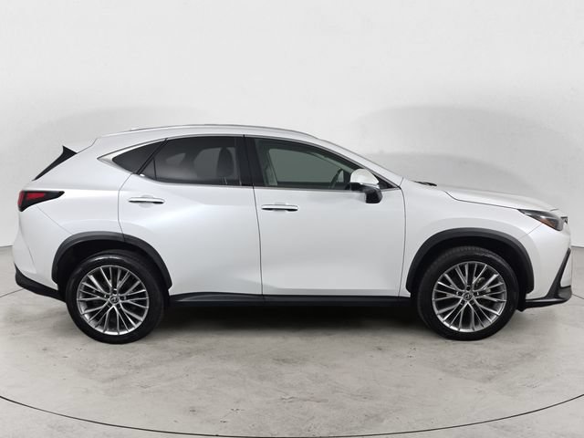 Certified 2024 Lexus NX 350h AWD w/ Vision Package image 4