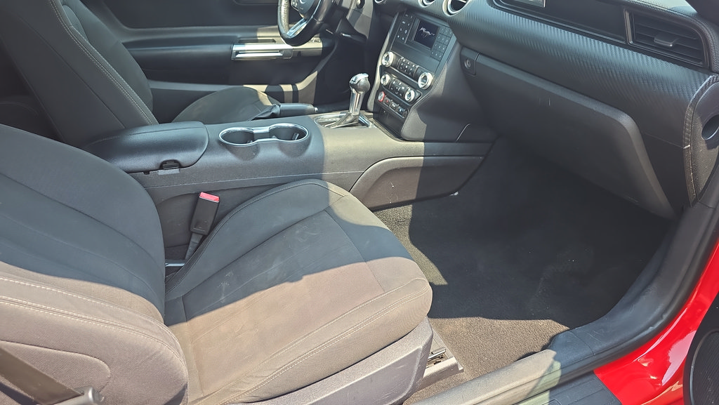 Used 2019 Ford Mustang Convertible RWD image 12