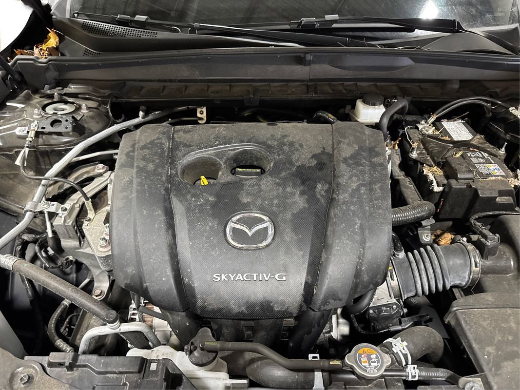 Used 2024 MAZDA CX-50 AWD 2.5 S w/ Cargo Package image 15