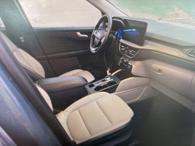 Used 2025 Ford Escape Platinum image 6